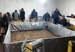 Kahvehanede horoz dövüşüne 109 bin 485 TL ceza