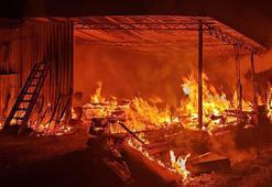 Marangoz atölyesi, yangında kullanılamaz hale geldi
