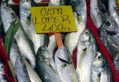 Çanakkale'de 'denizin prensi' lüferin kilosu tezgahta 400 TL