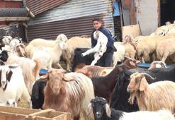 Çoban Resul, bakanlığın projesiyle liseli oldu