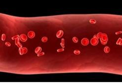 Doç. Dr. Topçu: Kan pıhtılaşmasının nedenleri arasında kanser ikinci sırada