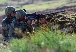 İçişleri: Şırnak'ta 5 terörist etkisiz hale getirildi