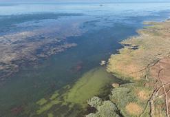Beyşehir Gölü, can çekişiyor