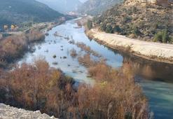 Göksu Nehri'nin rengi, yine siyaha döndü