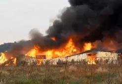 Mersin'de mobilya deposu, alev alev yandı