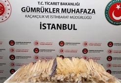 Sabiha Gökçen'de 54 kilo insan saçı ele geçirildi