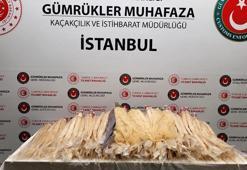 Sabiha Gökçen'de 54 kilo insan saçı ele geçirildi