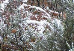 İstanbul'da yüksek kesimlere yılın ilk karı yağdı