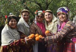 Coğrafi işaretli Bodrum mandalinası için festival