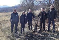 Kaçak yaban keçisi avlayan 4 kişi, kan izlerinden yakalandı