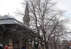 461 yıllık caminin bahçesindeki 117 ve 162 yaşlarındaki ağaçlar tescil edildi