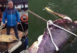 İztuzu açıklarında ölü caretta caretta bulundu