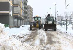 Muş’ta karla mücadele mesaisi