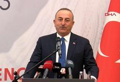 Bakan Çavuşoğlu: Norveç verdiği izni iptal etti