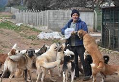 'Gözyaşı Çiftliği' can dostlara yuva oldu