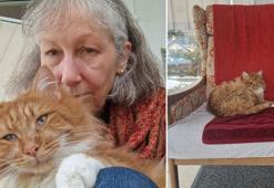 İsviçreli diplomat, kaybolan kedisine çiple kavuştu