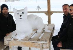 Kardan 'Van kedisi' de yaptılar