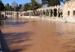 Balıklıgöl’ün suyu, deprem sonrası çamur rengine döndü