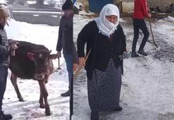 Düvesini satıp, parasını depremzedelere bağışladı