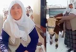 1983 Erzurum depremini yaşadı, boğasını satıp depremzedeler için bağışladı