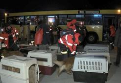 İspanyol arama kurtarma ekibi kargo uçağıyla İstanbul’a döndü