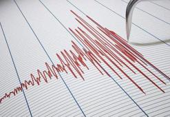 "Deprem sonrası gelişen crush sendromunun en önemli etkisi akut böbrek yetmezliği"