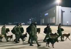 Arama kurtarma köpekleri nasıl eğitiliyor