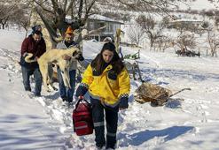 Van'dan giden ekip, Malatya'da enkazdan yaralı çıkan köpeğe müdahale etti
