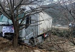 Deprem bölgesine yardım götüren TIR ağaçlara çarptı: 1 yaralı