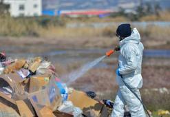 Milleyha Kuş Cenneti'ne enkazdan çöp ve moloz taşındı