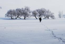 Çaldıran dondu; eksi 33,5