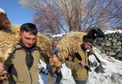 Omuzlarında getirdikleri hayvanları satıp, gelirini depremzedelere bağışladılar