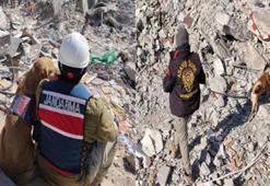 Galeria Sitesi’nin enkazında kadavra köpekleri ‘Pusat ve Boyka’ ile arama yapıyor