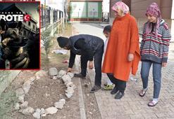 Adıyamanlılar, Meksika arama-kurtarma köpeği Proteo'yu unutmuyor