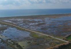 "Cehennem" olan Milleyha Kuş Cenneti'ndeki son durum havadan görüntülendi