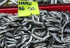 Boğazda hamsi avı yasaklandı, Çanakkale'de lüferin kilosu 350 TL'ye düştü