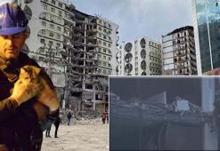 89 kişinin öldüğü Galeria Sitesi’ndeki kurtarılan kedi sayısı 7'ye çıktı