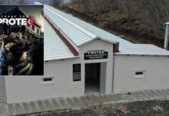 Kahraman köpek Proteo'nun ismi, yavrularla anılacak