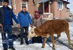 'Sarıkız'ı satıp, elde ettiği 13 bin lirayı depremzedelere bağışladı