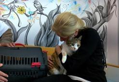 Depremden kurtulan 'Minyon'a, 21 gün sonra 670 kilometre yol katedip kavuştu