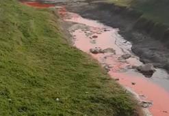 Mersin'de kimyasal atık bırakılan dere, kırmızı akmaya başladı