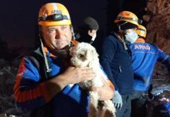 Kabındaki mama ile 25 gün hayatta kalan 'Fıstık', kurtarıldı