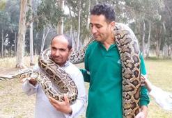 Piton ve boa yılanlarının korkusuz bakıcıları