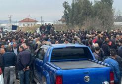 Antalya'da domates üreticileri ihracat kısıtlamasının kaldırılmasını istedi