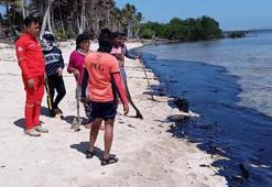 Filipinler’de yayılan ham petrol çevreyi ve halk sağlığını tehdit ediyor