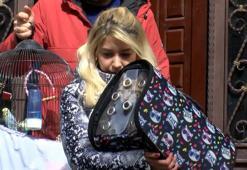 Bahçelievler'de mühürlenen binadan evcil hayvanlar alındı