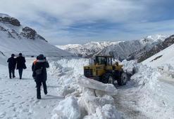 Çığ riskiyle kapalı tutulan Van-Bahçesaray yolunda karla mücadele