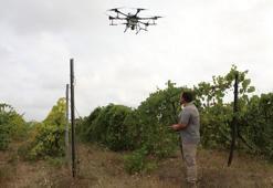 Tarımsal üretimde dijital teknoloji kullanımı artıyor