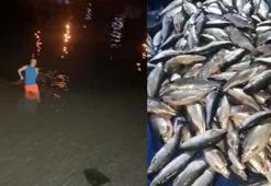 Kafes yırtıldı, sahil somonla doldu