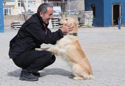 'Poyraz' ve 'Köpük', 8 kişinin kurtarılmasını sağladı